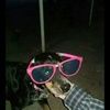 mwmalone06
