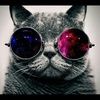 terrynoemi1129