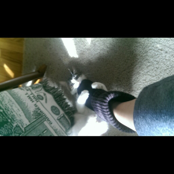 lunarrain