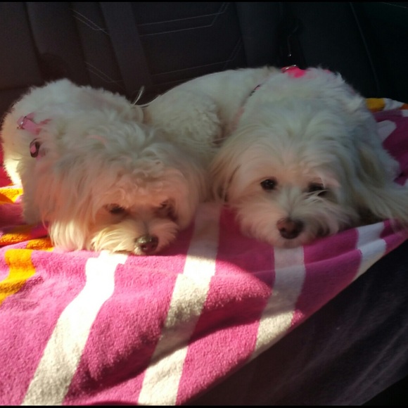 jzl9fv