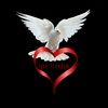 lennis82