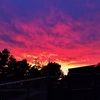 autumn_coffman