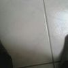 stephbrito12