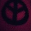 shallac3