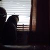 jensnow1221