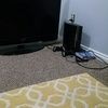 thefreeman17