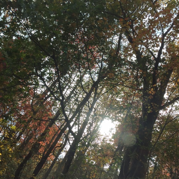 _lynn97