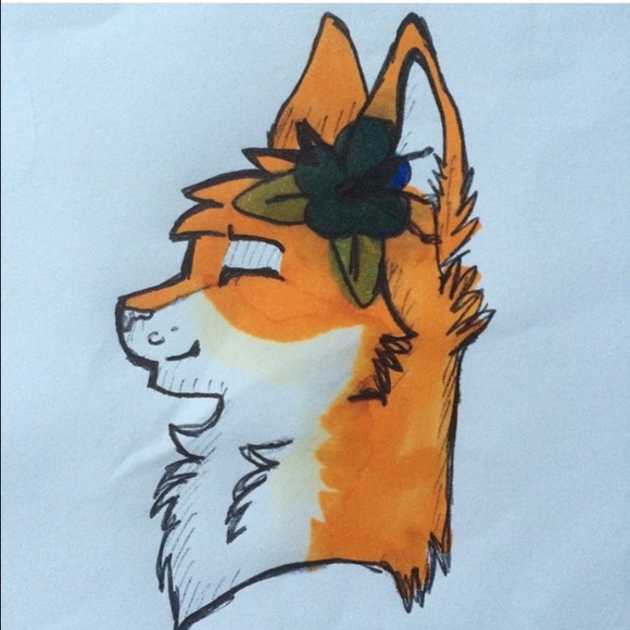 Poshmark profile picture for @stealth