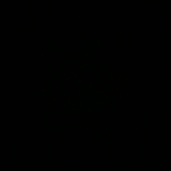 jannet31