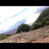 shadizarabi
