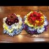 pratyusha_posh