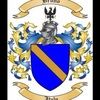 dominicbruno