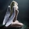 moonglow40