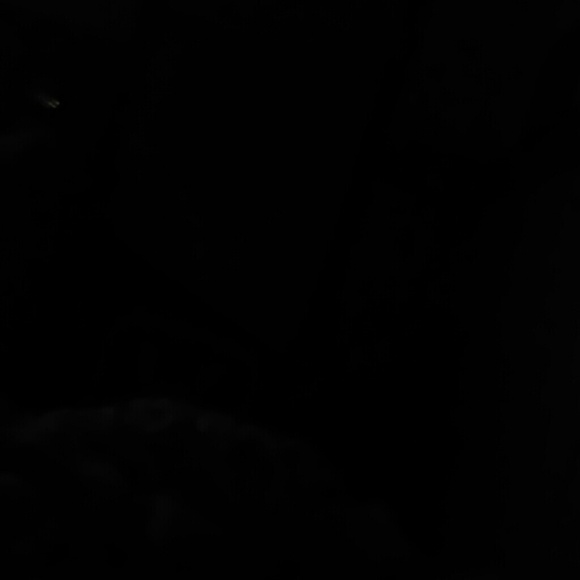 bllm23