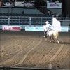cowboydw4