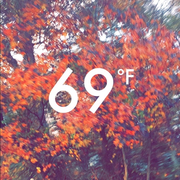 sierraliving
