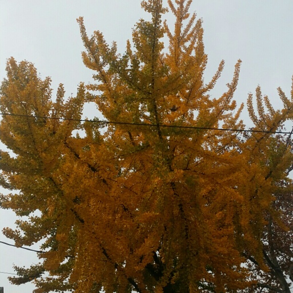 chandru
