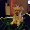 amymathison1