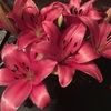 kaylafjohnson16