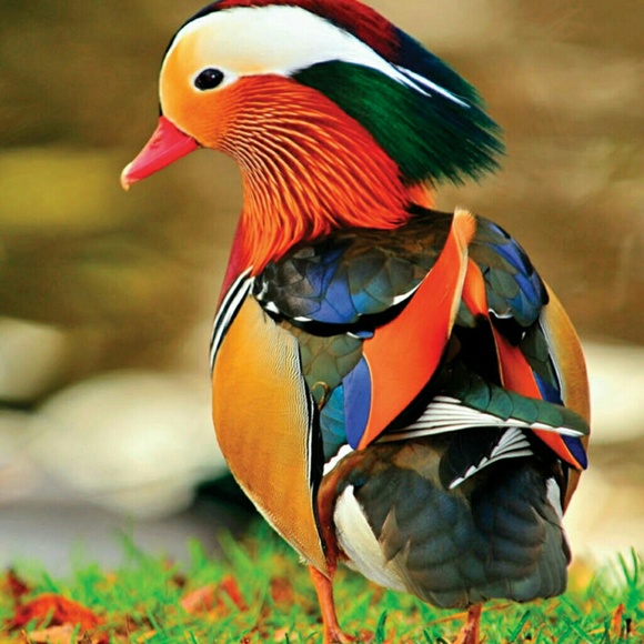 kpollard1