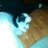 karenltyler39