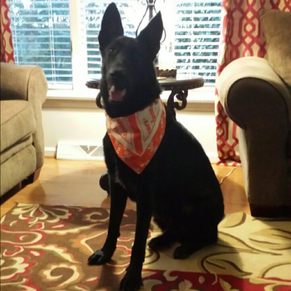 harper001