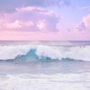 jackie_163