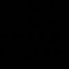 waynensheena