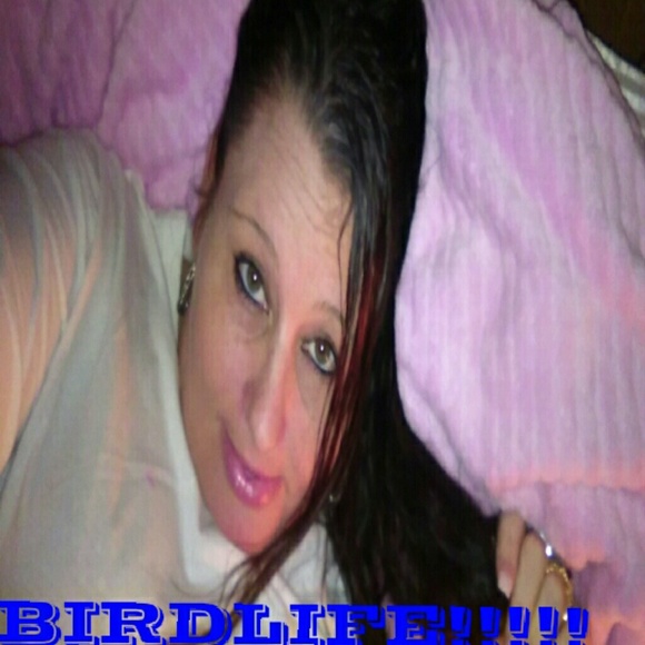 birdlife