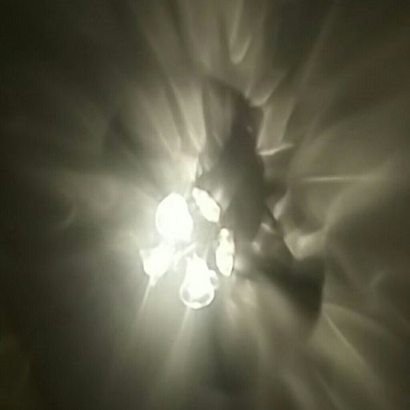 lilyflor_