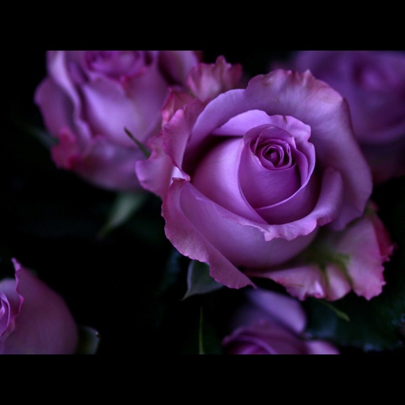 mzflower14