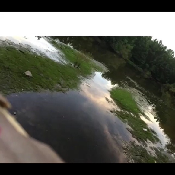 cmt12
