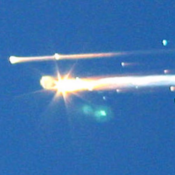 petauls