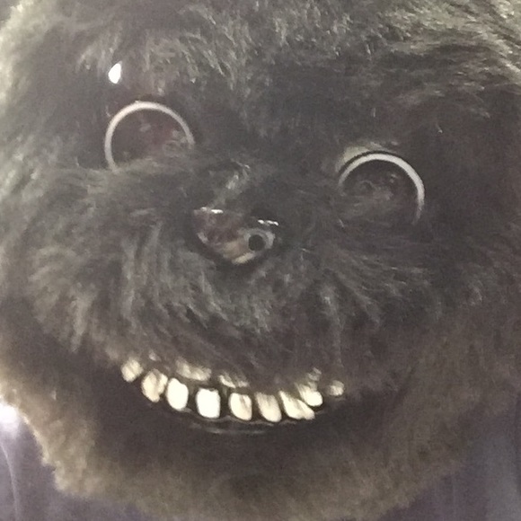 josephreyna24