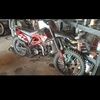 scottiedriver31