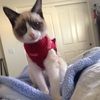 jackiemadrid33
