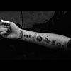 willow_bray