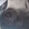 sergiozeus