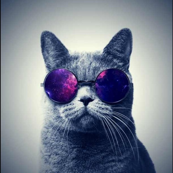 meowdified