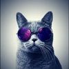 meowdified