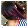 louisa_db