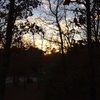 cwarren10_10