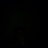jeffrey_c