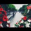 tanisha_tischer