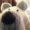 ferociousbear