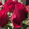 andrealynn72