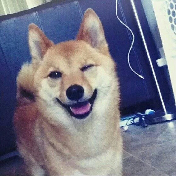 omgshibe