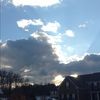 lillypad545