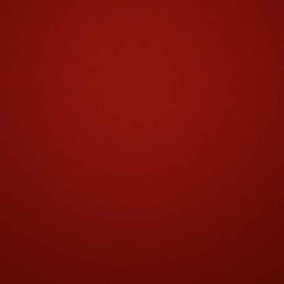lisa6950