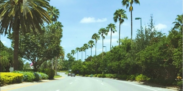 Poshmark banner for @malls